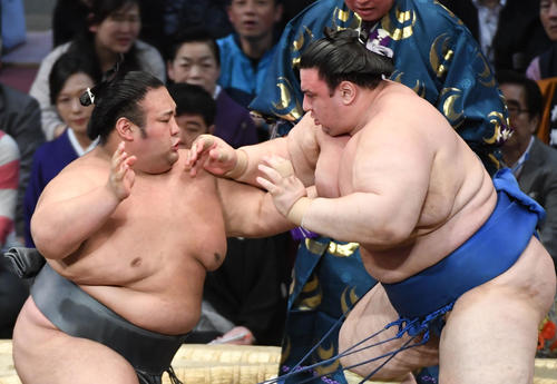 碧山を押し出しで破る貴景勝（左）（撮影・今浪浩三）