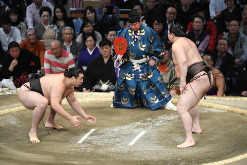 竜電の取り組み前に待ったする白鵬（撮影・今浪浩三）