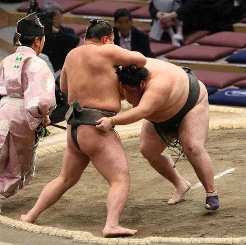 塚原（左）を押し出しで破る千代鳳（撮影・栗木一考）