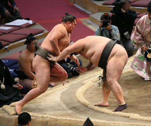 塚原（左）を押し出しで破る千代鳳（撮影・栗木一考）