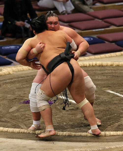 照ノ富士は、寄りきりで對馬洋を下し幕下優勝を決めた　（撮影・菊川光一）