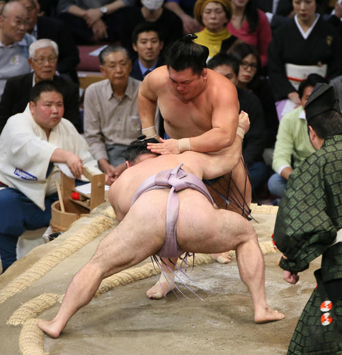 琴恵光（手前）を突き落としで破る照強（撮影・栗木一考）