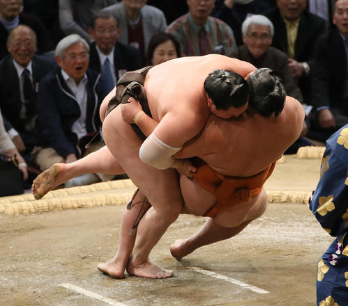 御嶽海（右）を外掛けで下し優勝を決めた白鵬（撮影・栗木一考）