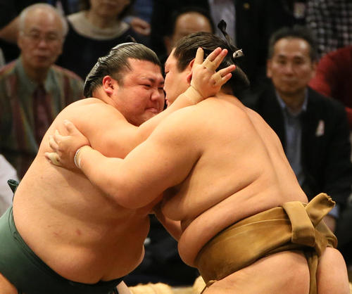 豊山（左）を押し出しで破る輝（撮影・栗木一考）
