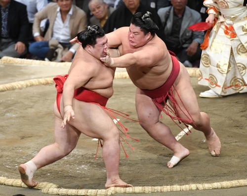阿武咲を突き出して破る大栄翔(撮影・今浪浩三)