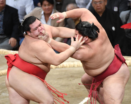 阿武咲を突き出して破る大栄翔（撮影・今浪浩三）