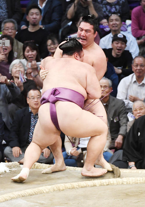 竜電を寄り切りで破る朝乃山（撮影・今浪浩三）