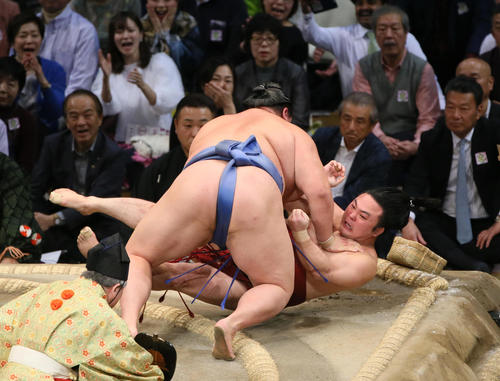 炎鵬を寄り倒しで破る正代（撮影・栗木一考）