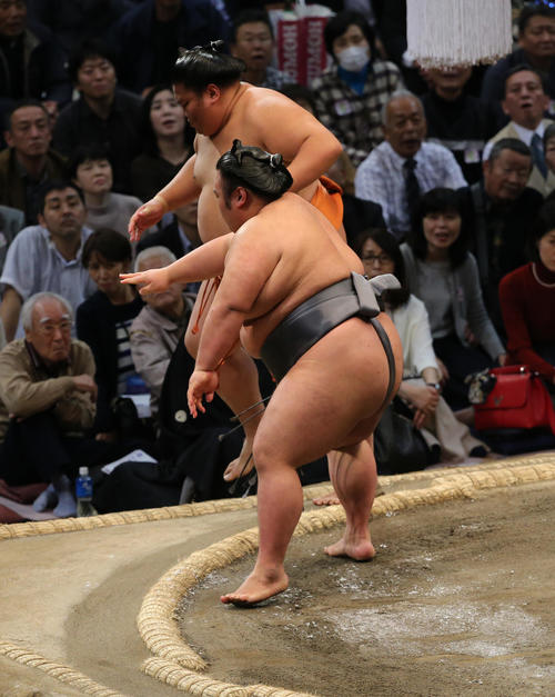 御嶽海は貴景勝に突き出しで敗れる（撮影・菊川光一）