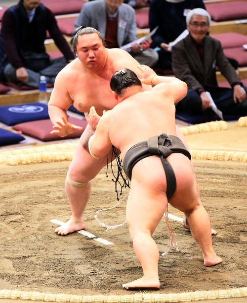 磋牙司（手前）を押し出しで破る白鷹山（撮影・栗木一考）