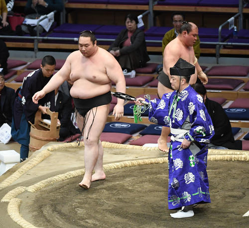 磋牙司を押し出しで破った白鷹山（左）