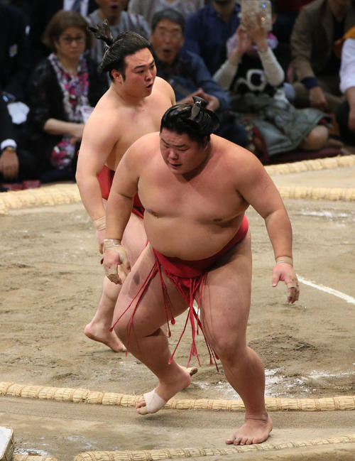 炎鵬（左奥）にすくい投げで敗れる大栄翔（撮影・栗木一考）