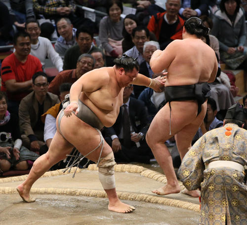 竜電（右）を押し出しで破る北勝富士（撮影・栗木一考）