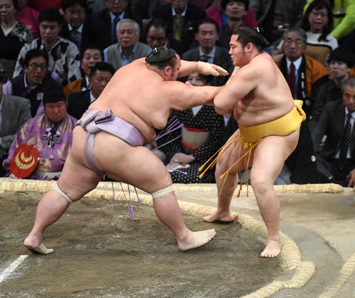 遠藤を突き出しで破る琴勇輝（撮影・今浪浩三）
