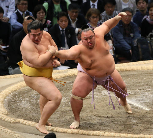 遠藤（左）を突き出しで破る琴勇輝（撮影・栗木一考）