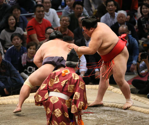 阿武咲（右）を押し出しで破る妙義龍（撮影・栗木一考）