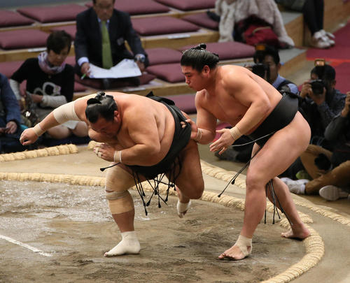 豊ノ島（左）を上手出し投げで破る若元春（撮影・栗木一考）