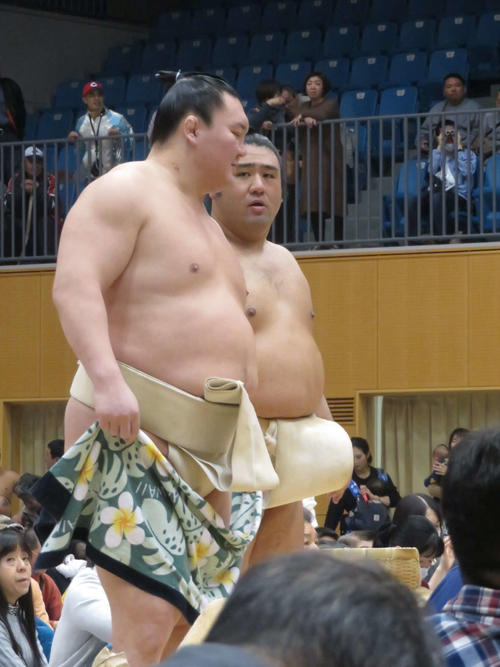 インフルエンザで1度離脱していた栃煌山（右）は、朝稽古の最中に白鵬に再合流を報告した