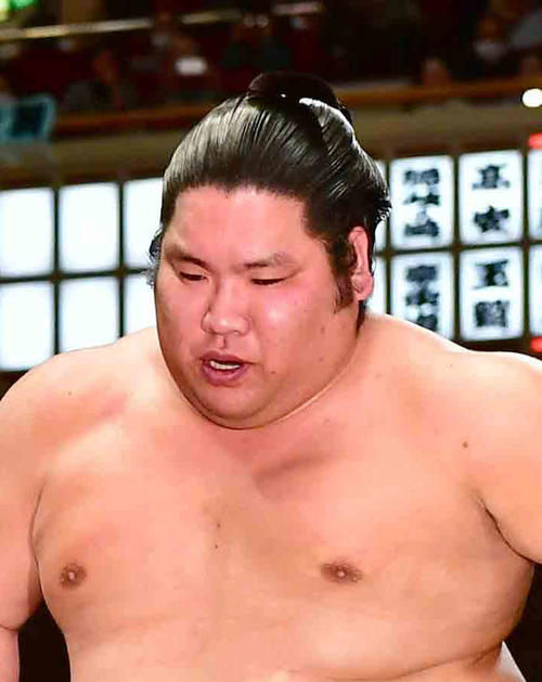錦木