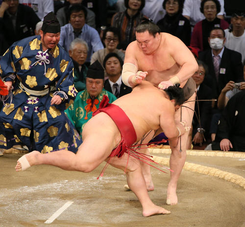 白鵬（右奥）を押し出しで破った大栄翔（2019年11月11日撮影）