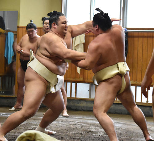 十両朝玉勢（右）と相撲を取る新関脇朝乃山