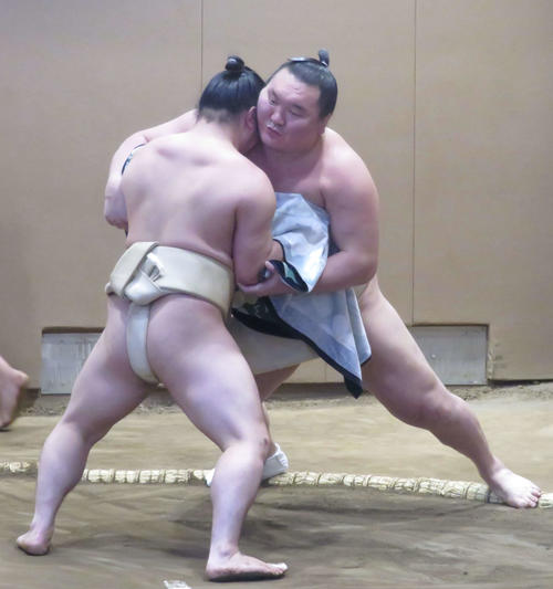 炎鵬（手前）に稽古をつける白鵬（撮影・佐藤礼征）