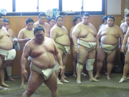 出羽海一門の連合稽古で仁王立ちする豪栄道