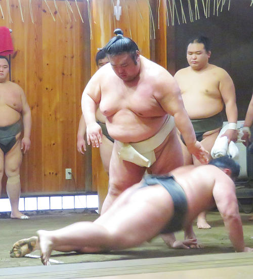 三番稽古で相手をはたき込む貴景勝（撮影・佐藤礼征）