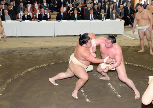 大栄翔（左）に立ち合いでかち上げを浴びせる白鵬　後方は横綱審議委員と八角理事長（撮影・鈴木正人）