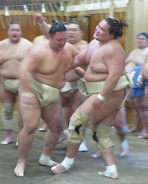 時津風部屋への出稽古で朝乃山に寄り切られる照ノ富士（右）（撮影・佐藤礼征）
