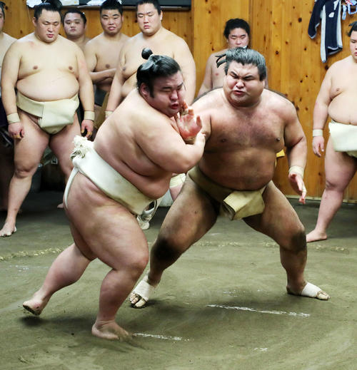 貴景勝（左）と激しい稽古をする高安（撮影・鈴木正人）