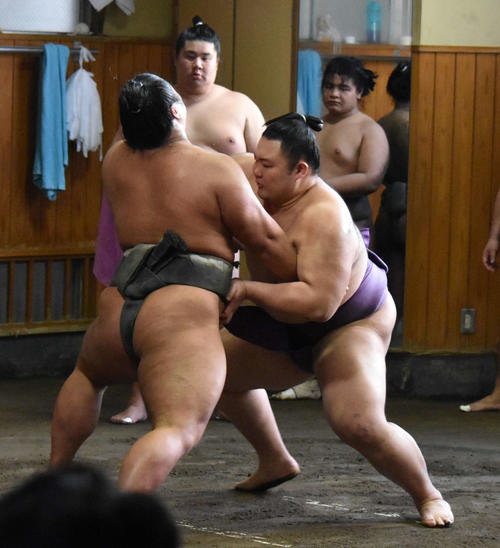 本場所で使用する紫の締め込みを締めて稽古する新関脇の朝乃山