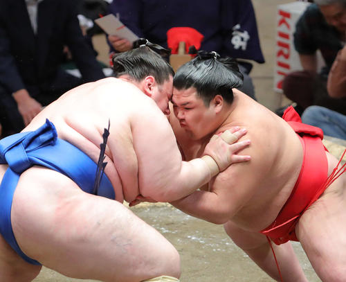 碧山（左）と立ち合いで激しくぶつかる阿武咲（撮影・河田真司）