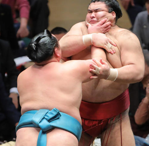 玉鷲（左）に押し出される高安（撮影・河田真司）