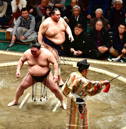 豪栄道（左）は北勝富士に突き落としで敗れる（撮影・小沢裕）