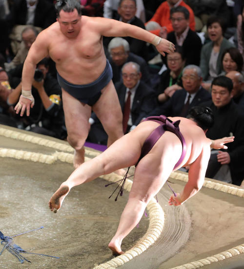 遠藤（右）に寄り切りで敗れる鶴竜（撮影・河田真司）
