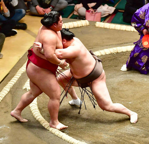 大栄翔（左）を寄り切りで下す白鵬（撮影・小沢裕）