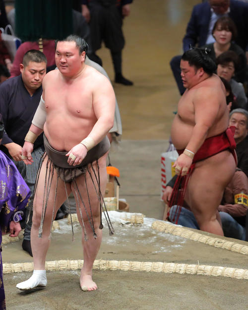 大栄翔（右）を寄り切りで下す白鵬（撮影・河田真司）
