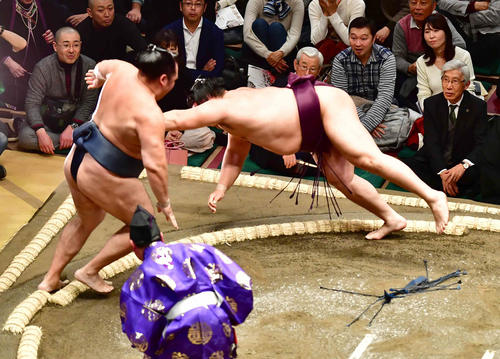 鶴竜（左）を寄り切りで破る遠藤（撮影・小沢裕）