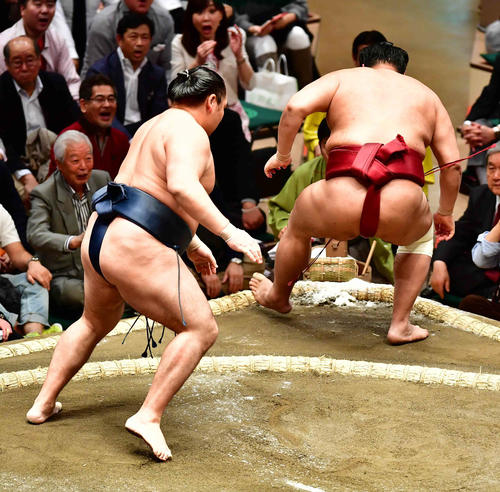 鶴竜(左)は阿炎をはたき込みで下す(撮影・小沢裕)