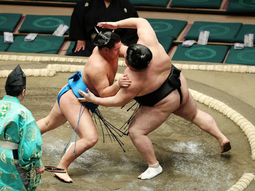 千代鳳（右）を激しく攻める豊昇龍（撮影・鈴木正人）