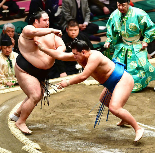 豊昇龍（右）は押し出しで千代鳳を下す（撮影・小沢裕）