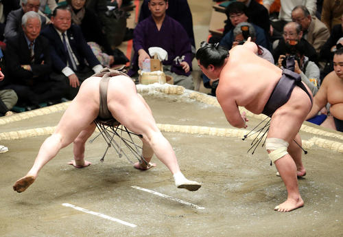白鵬（左）を突き落としで破る妙義龍（撮影・鈴木正人）