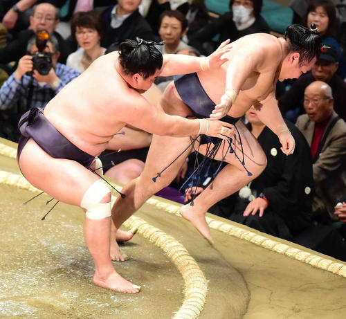 妙義龍（左）は押し出しで鶴竜を破る（撮影・小沢裕）