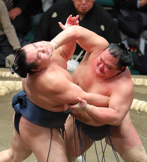 鶴竜（左）を攻める北勝富士（撮影・河田真司）
