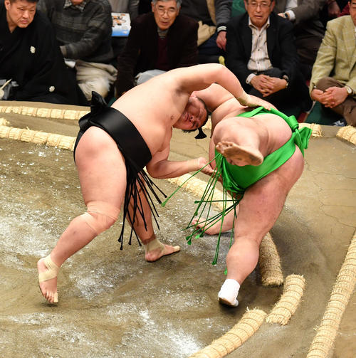 照強(左)は千代丸を下手投げで破る(撮影・柴田隆二)