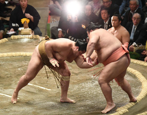 輝（左）は千代大龍を押し出しで破る（撮影・山崎安昭）