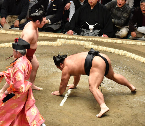 炎鵬（左）は松鳳山を引き落としで破る（撮影・柴田隆二）