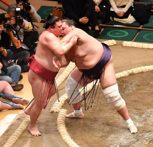 照ノ富士（右）は朝玉勢を寄り切りで破る（撮影・柴田隆二）