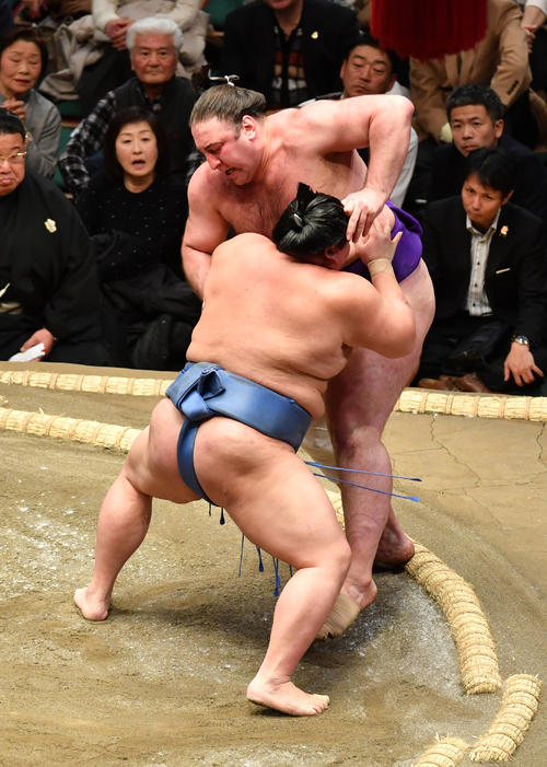 正代（手前）は栃ノ心を寄り切りで破る（撮影・柴田隆二）